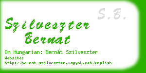 szilveszter bernat business card
